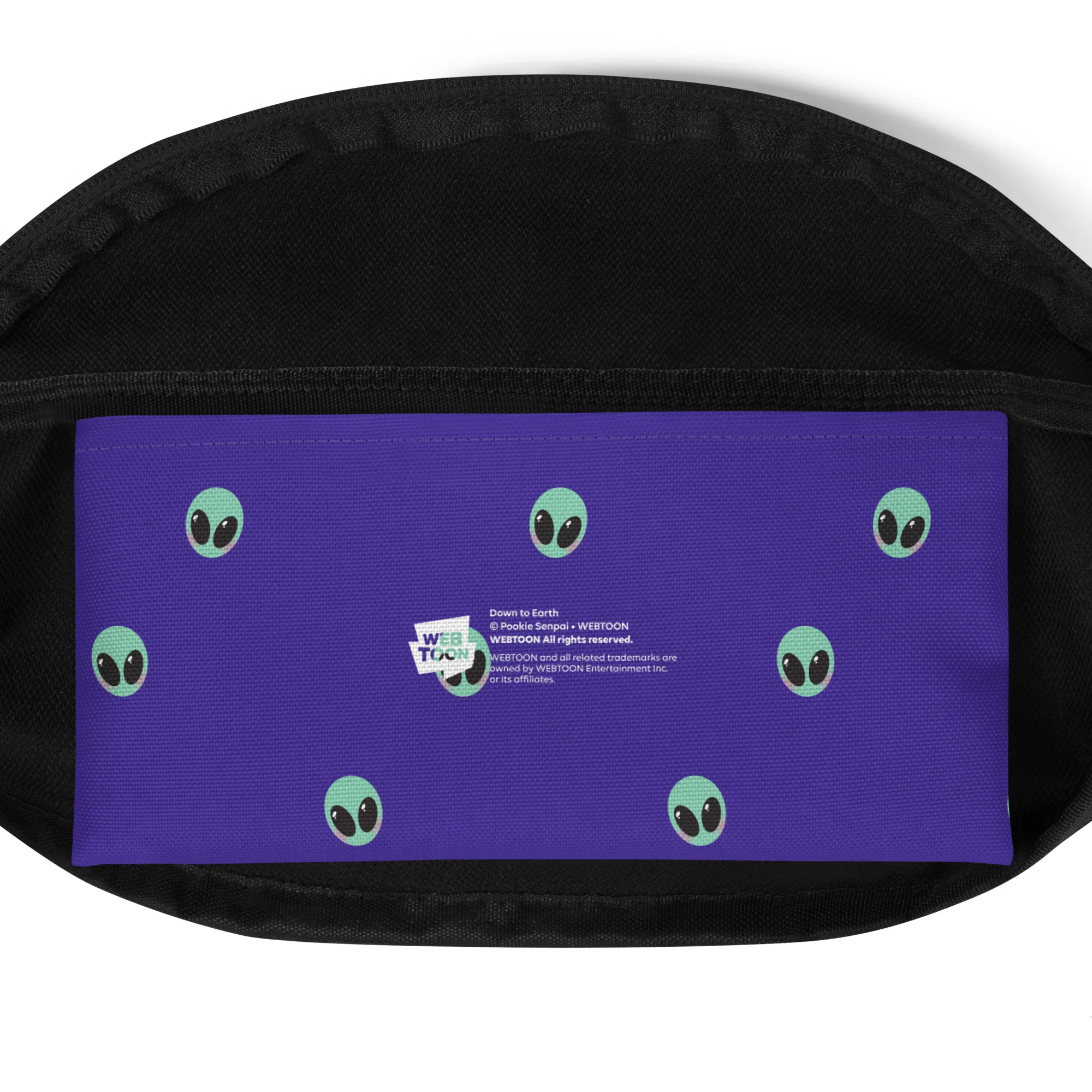DOWN TO EARTH - FANNY PACK - Image 5