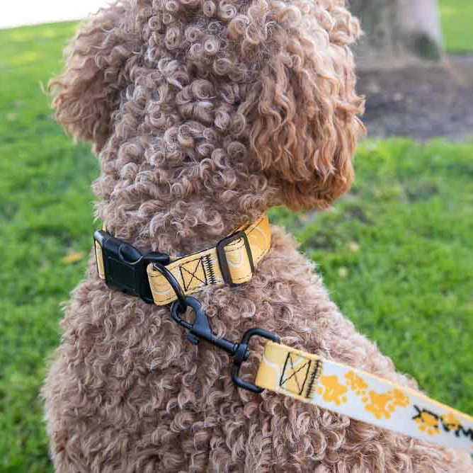 LOVE 4 A WALK - PATTERN #1 PET COLLAR & LEASH - Image 2